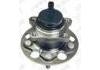 комплекс ступичного подшипника Wheel Hub Bearing:42450-06190